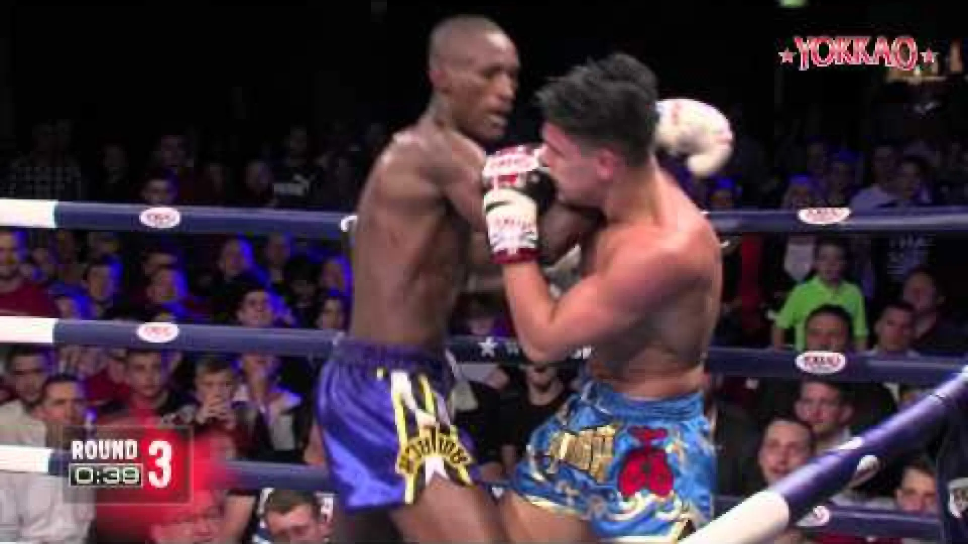 Brad Stanton vs Crice Boussoukou (Fight Video)