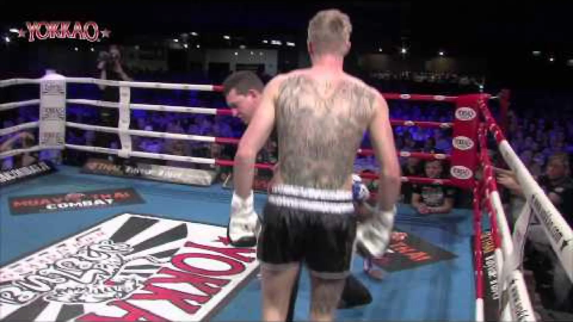 Reece McAllister vs Tim Thomas (Fight Video)