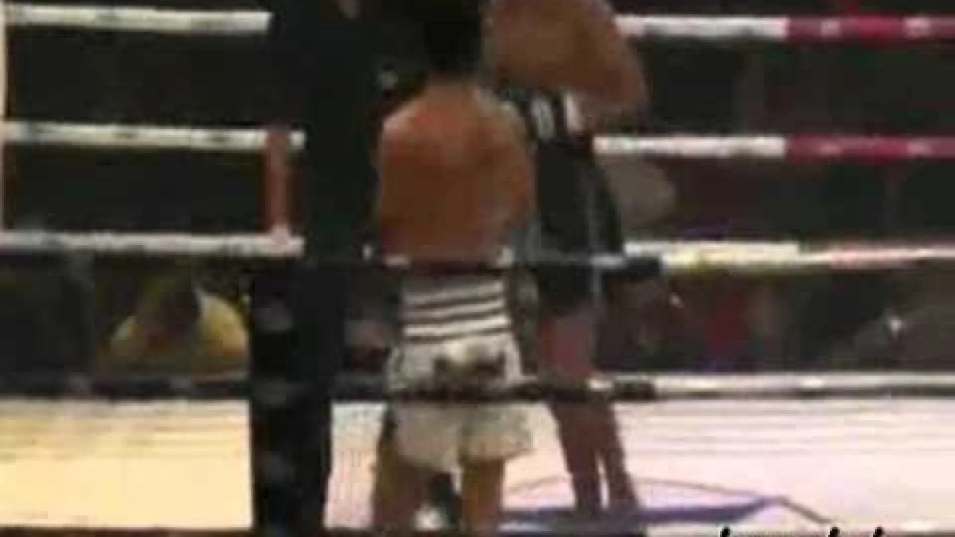 Andrei Kulebin vs Saiyok Pumpanmuang (Fight Video)
