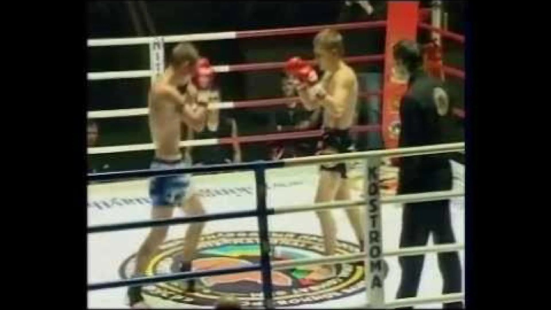Andrei Kulebin vs Guillaume Mautz (Fight Video)