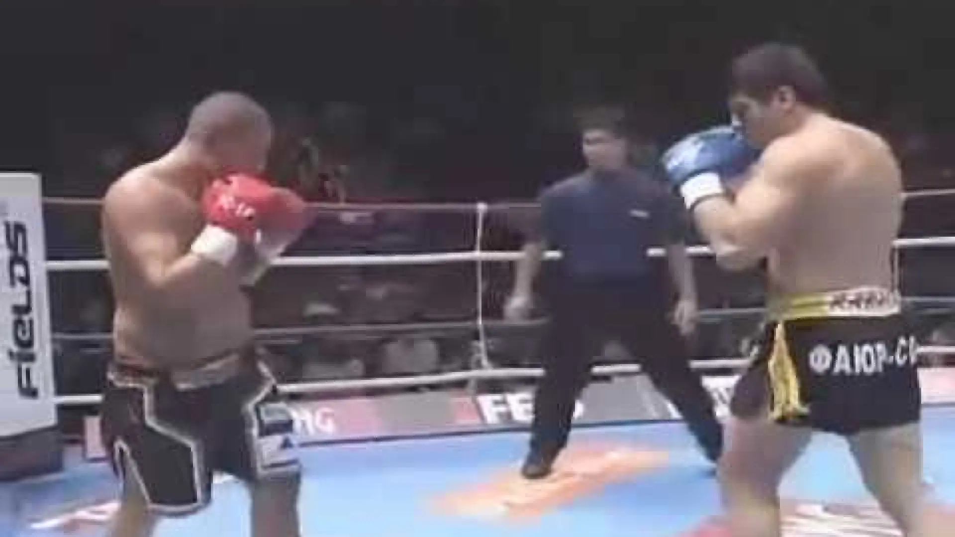 Gökhan Saki vs Ruslan Karaev (Fight Video)