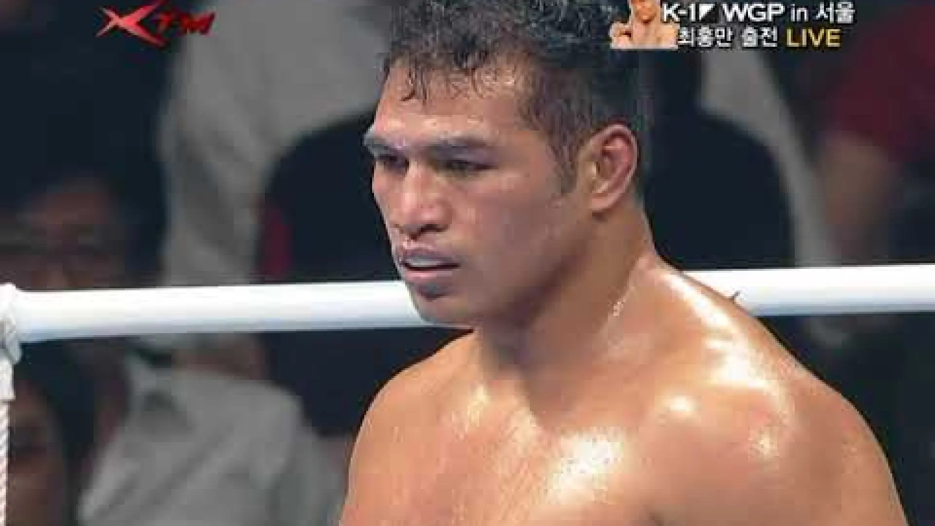 Gökhan Saki vs Ray Sefo (Fight Video)