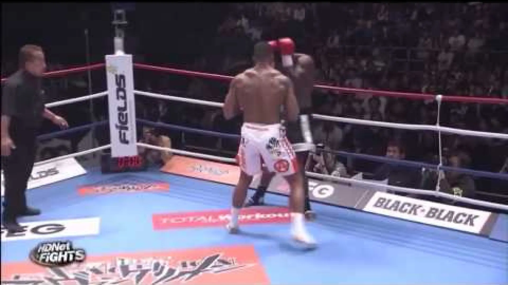 Alistair Overeem vs Remy Bonjasky (Fight Video)