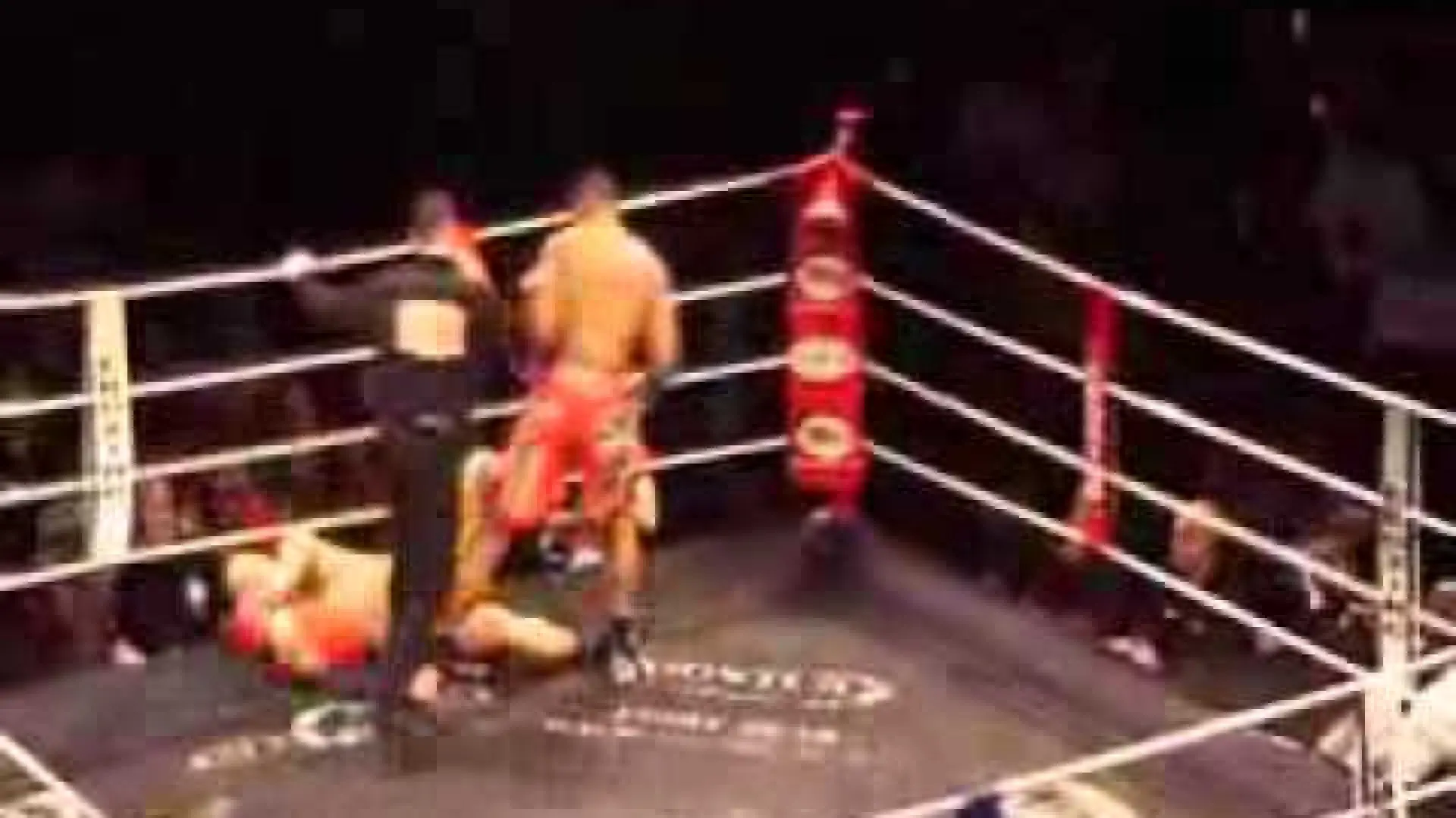 Alistair Overeem vs Jürgen Dolch (Fight Video)