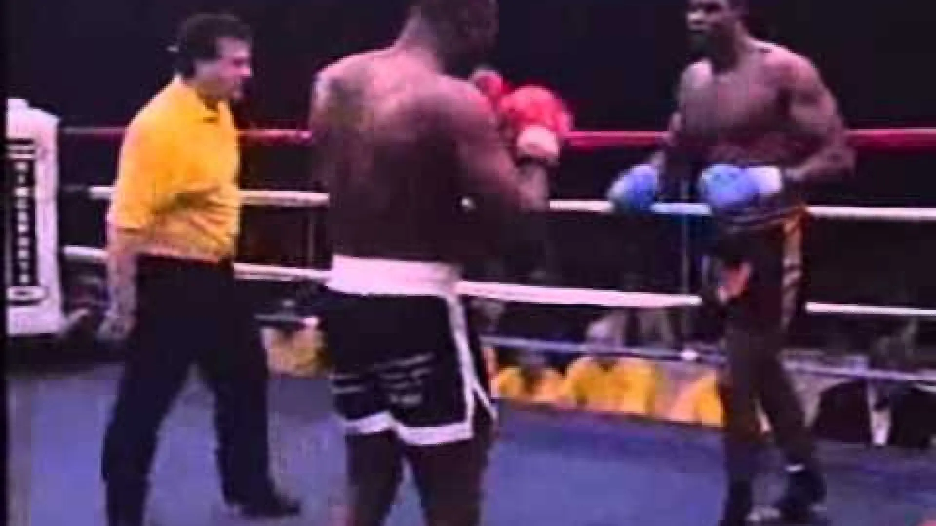 Alistair Overeem vs Errol Parris (Fight Video)