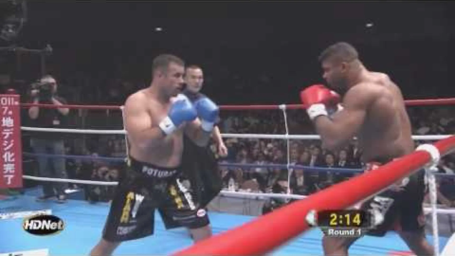 Alistair Overeem vs Dževad Poturak (Fight Video)