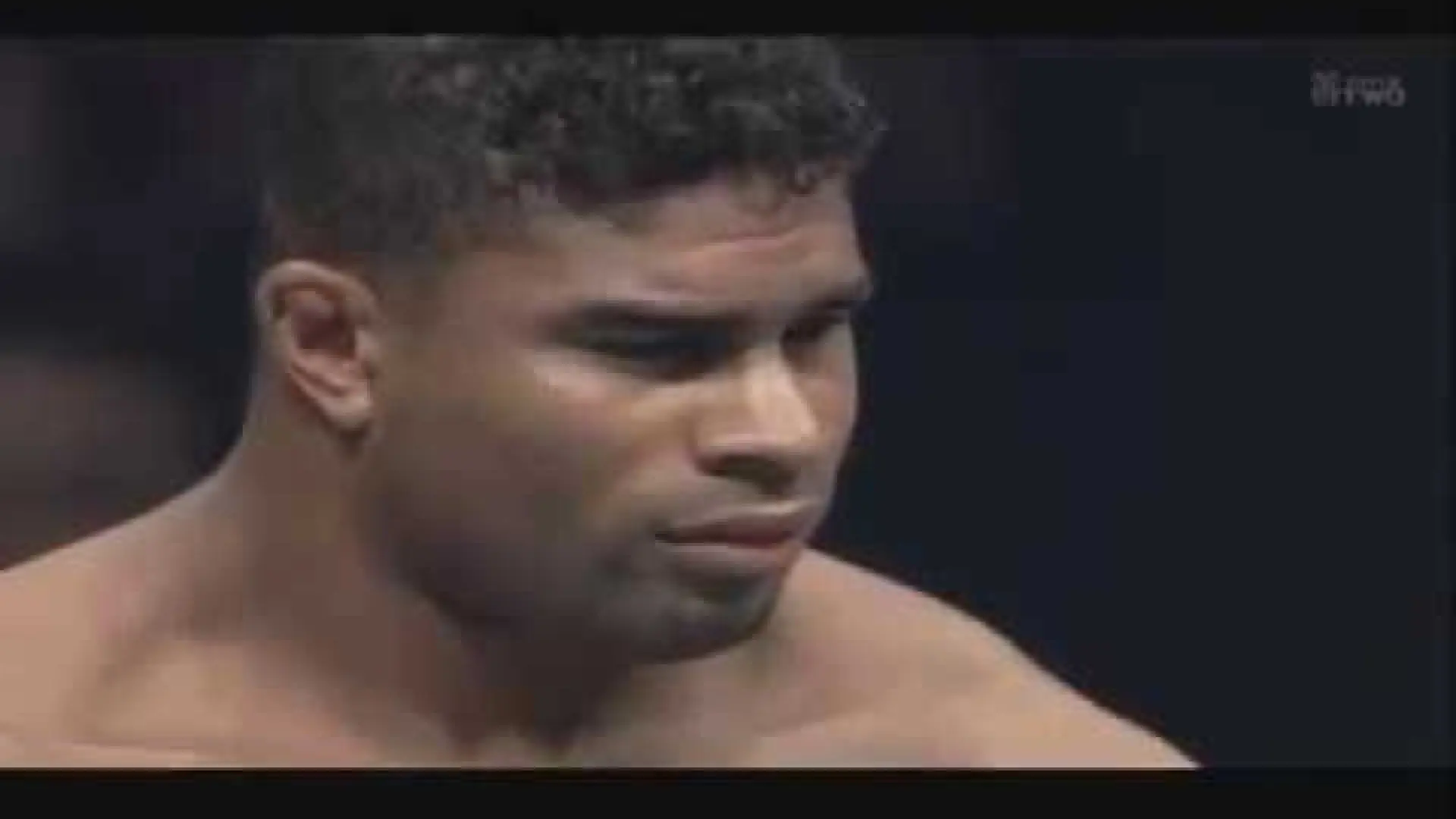Alistair Overeem vs Peter Aerts (Fight Video)