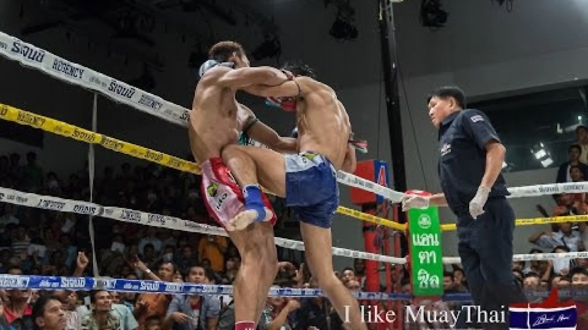 Rittewada Petchyindee vs Yodpanomrung Jitmuangnon (Fight Video)