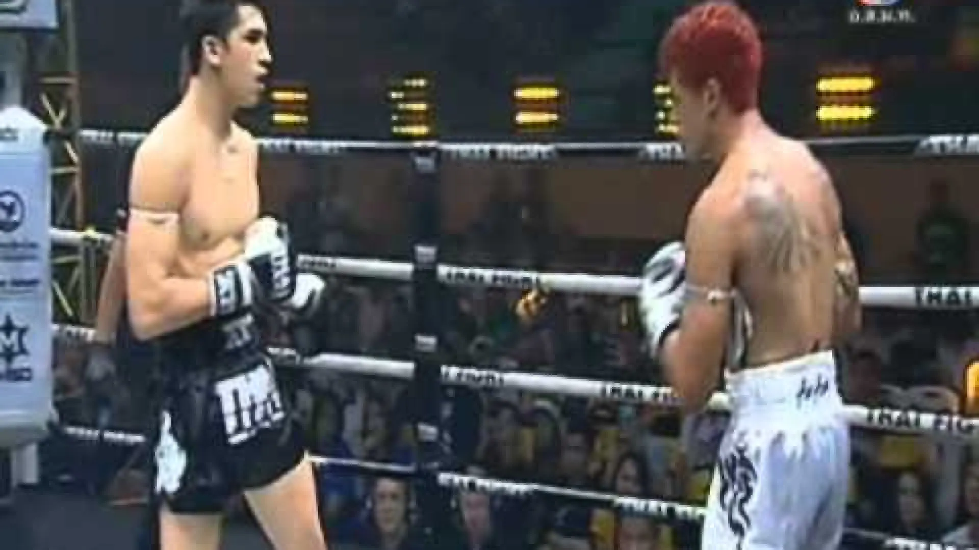 Antoine Pinto vs Gustavo Mendes (Fight Video)