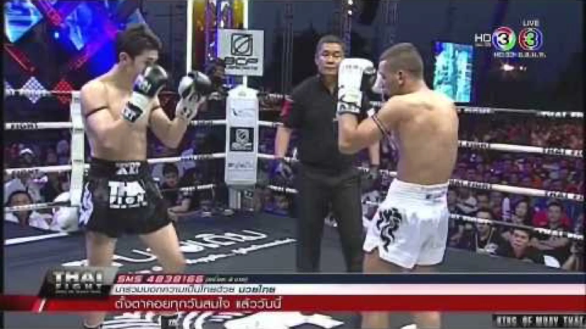 Victor Pinto vs Yuba Amri (Fight Video)