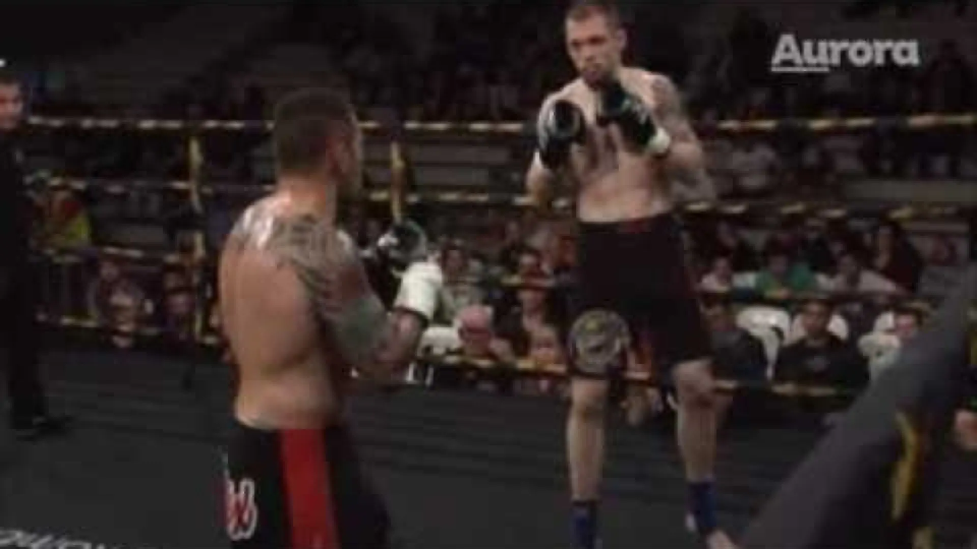 Steve Moxon vs Marco Tentori (Fight Video)