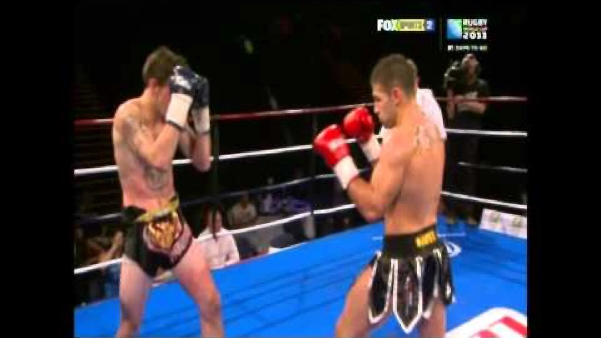 Steve Moxon vs Harlee Avison (Fight Video)