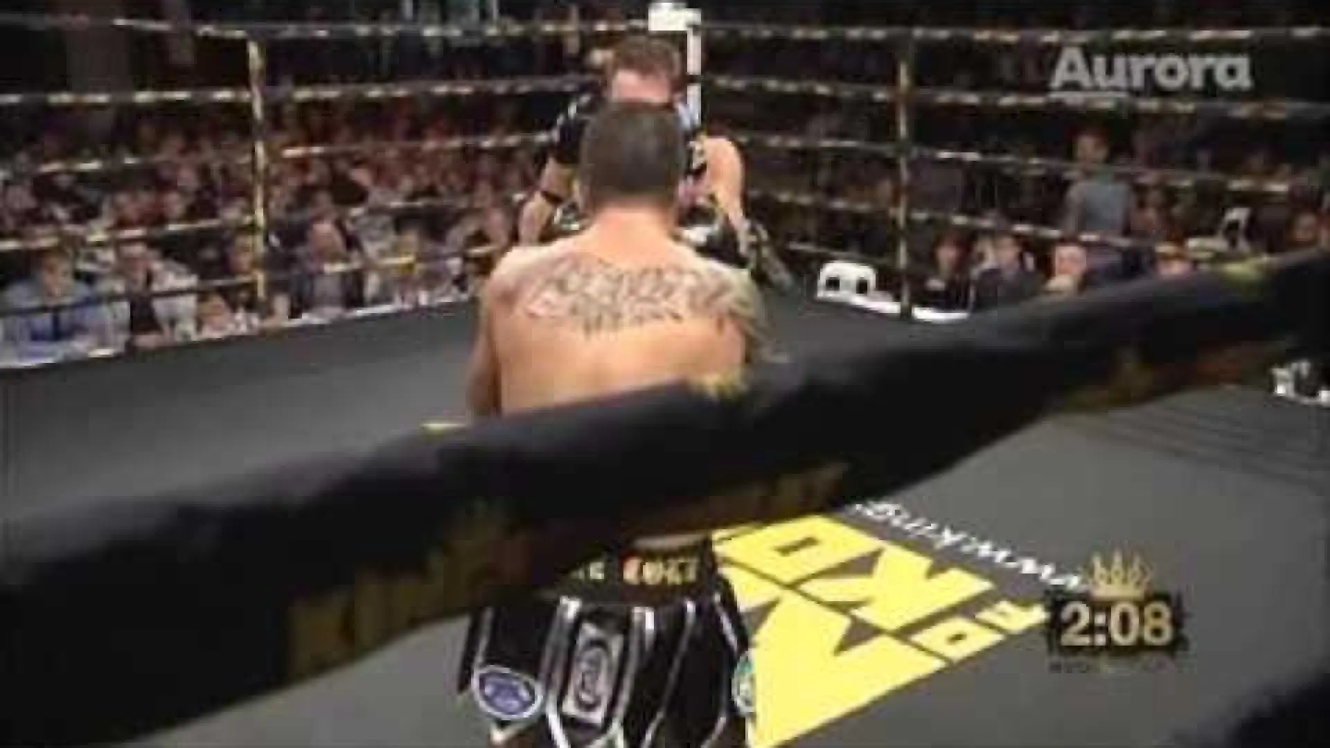 Steve Moxon vs Brad Riddell (Fight Video)