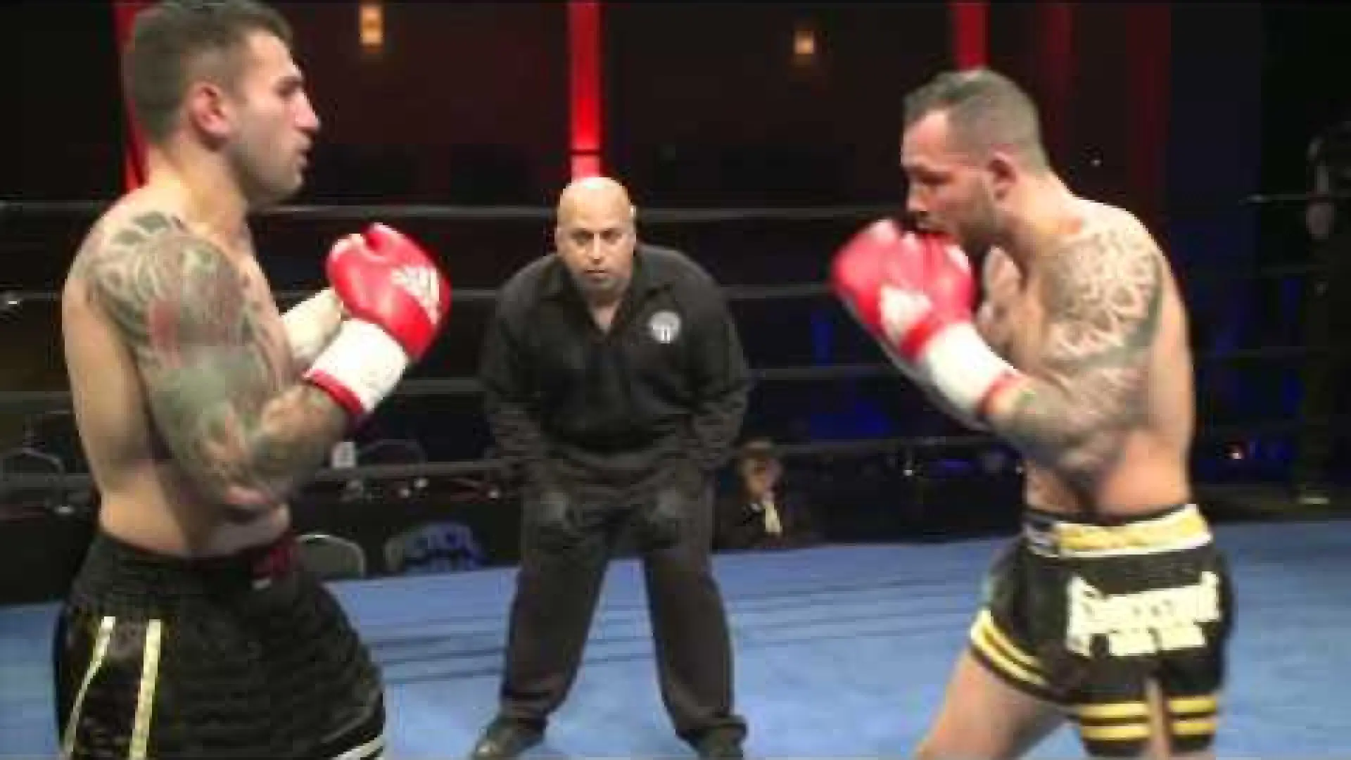 Steve Moxon vs Robin Van Roosmalen (Fight Video)