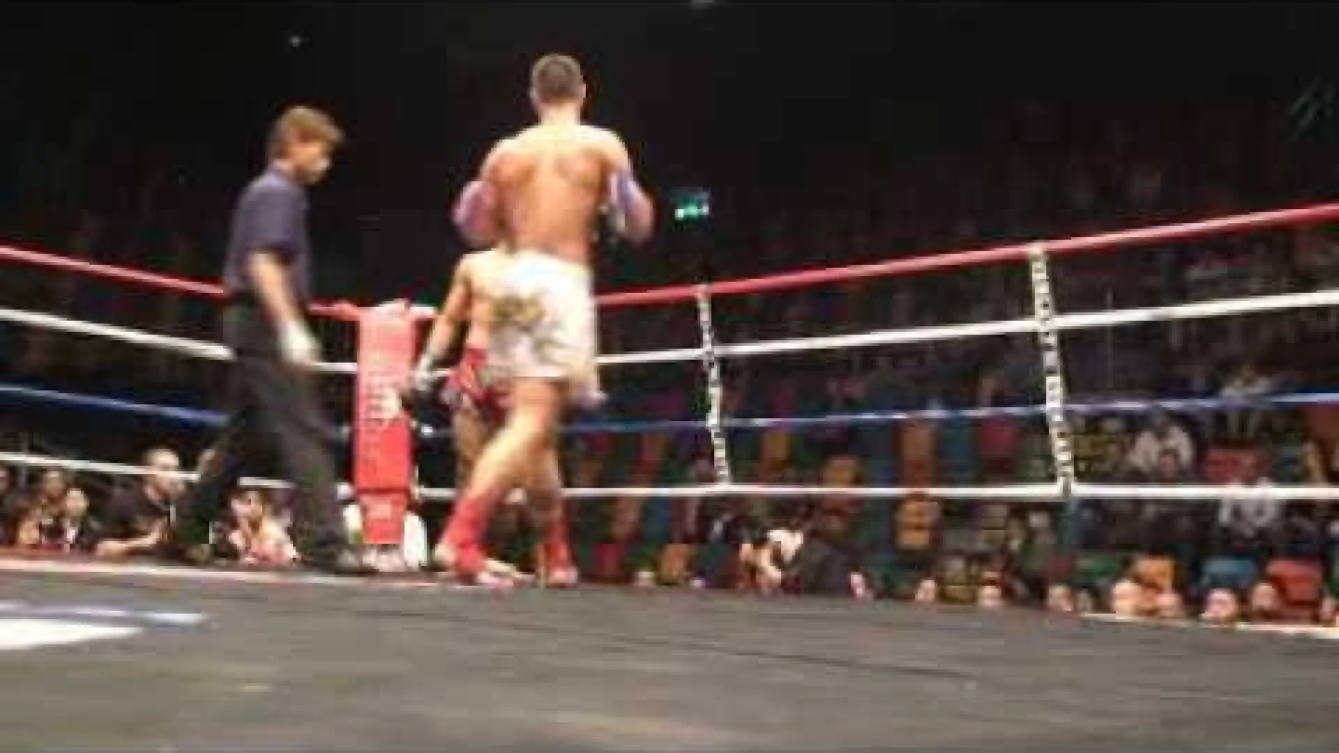 Yohan Lidon vs Berneung Topkingboxing (Fight Video)