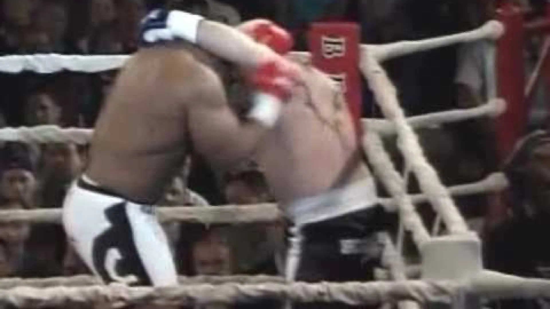 Bob Sapp vs Tommy Glanville (Fight Video)