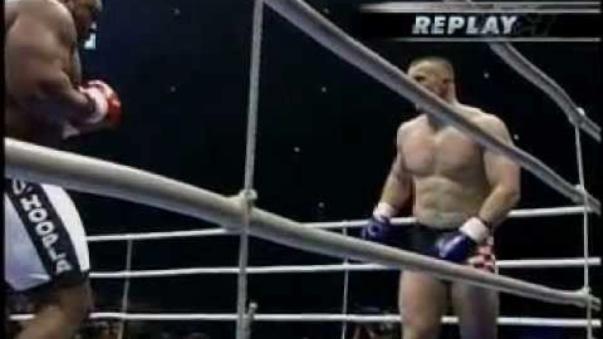 Bob Sapp vs Mirko Cro Cop (Fight Video)