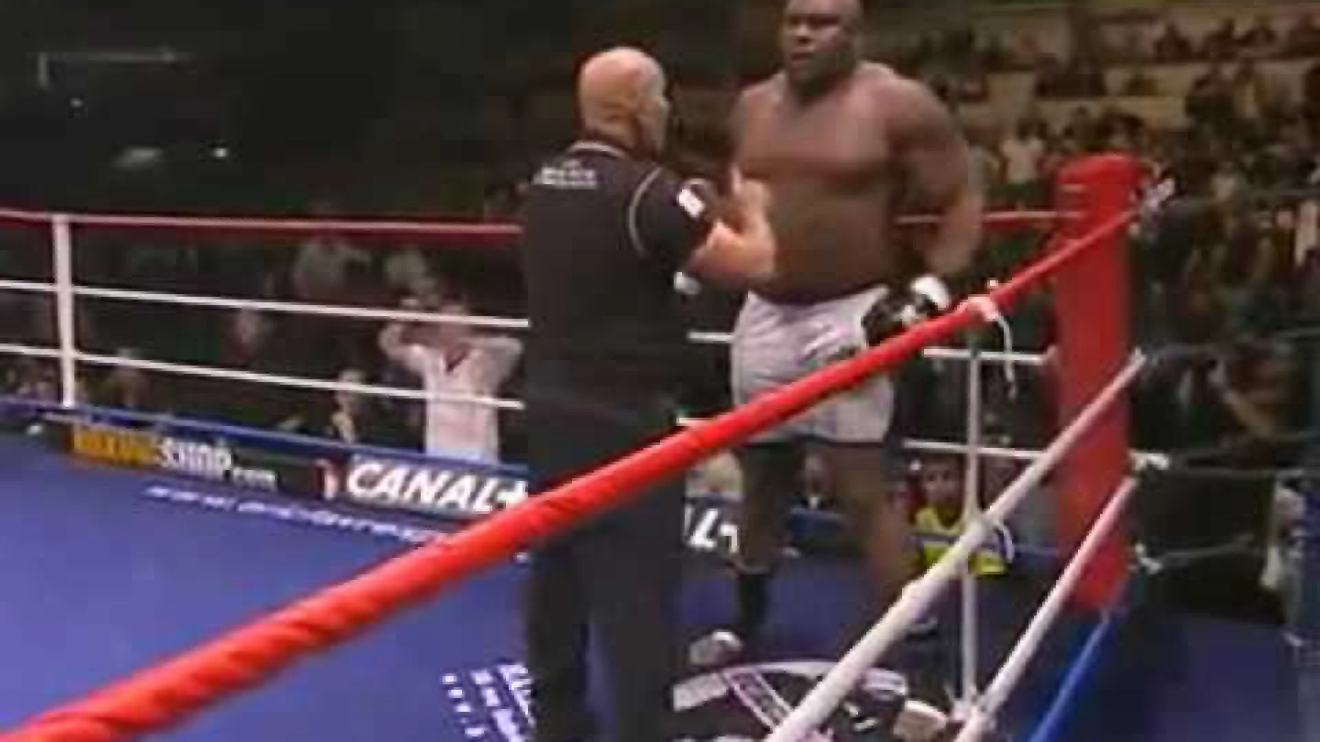 Bob Sapp vs Patrice Quarteron (Fight Video)
