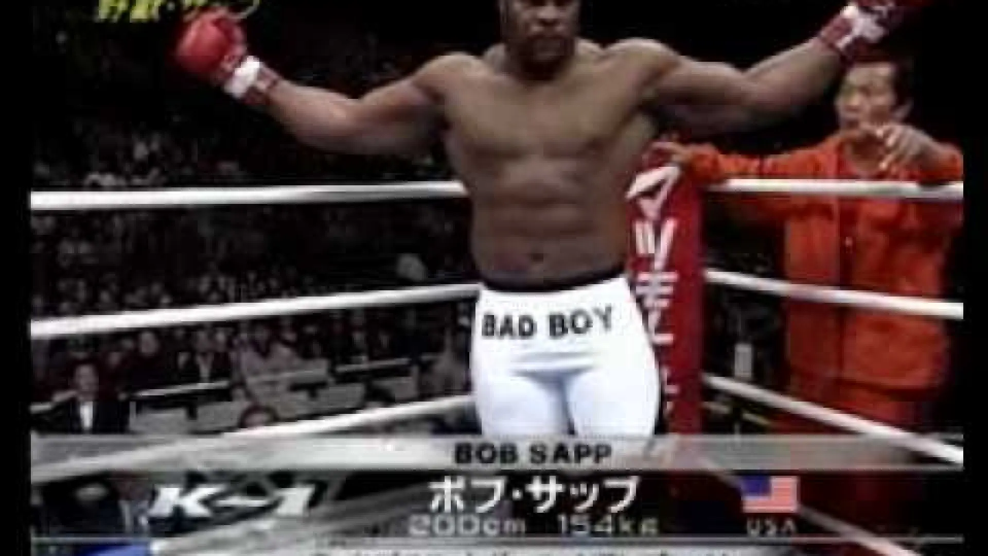 Bob Sapp vs Seth Petruzelli (Fight Video)