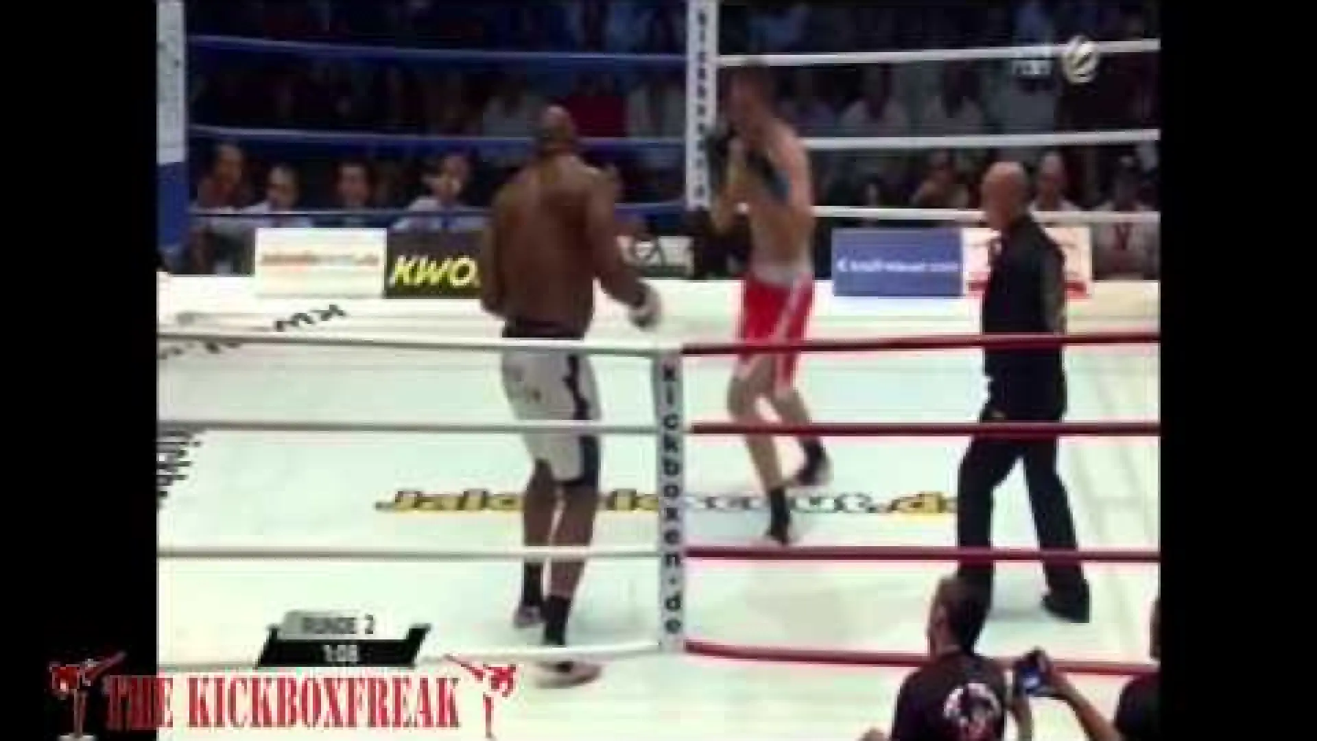 Bob Sapp vs Florian Pavic (Fight Video)