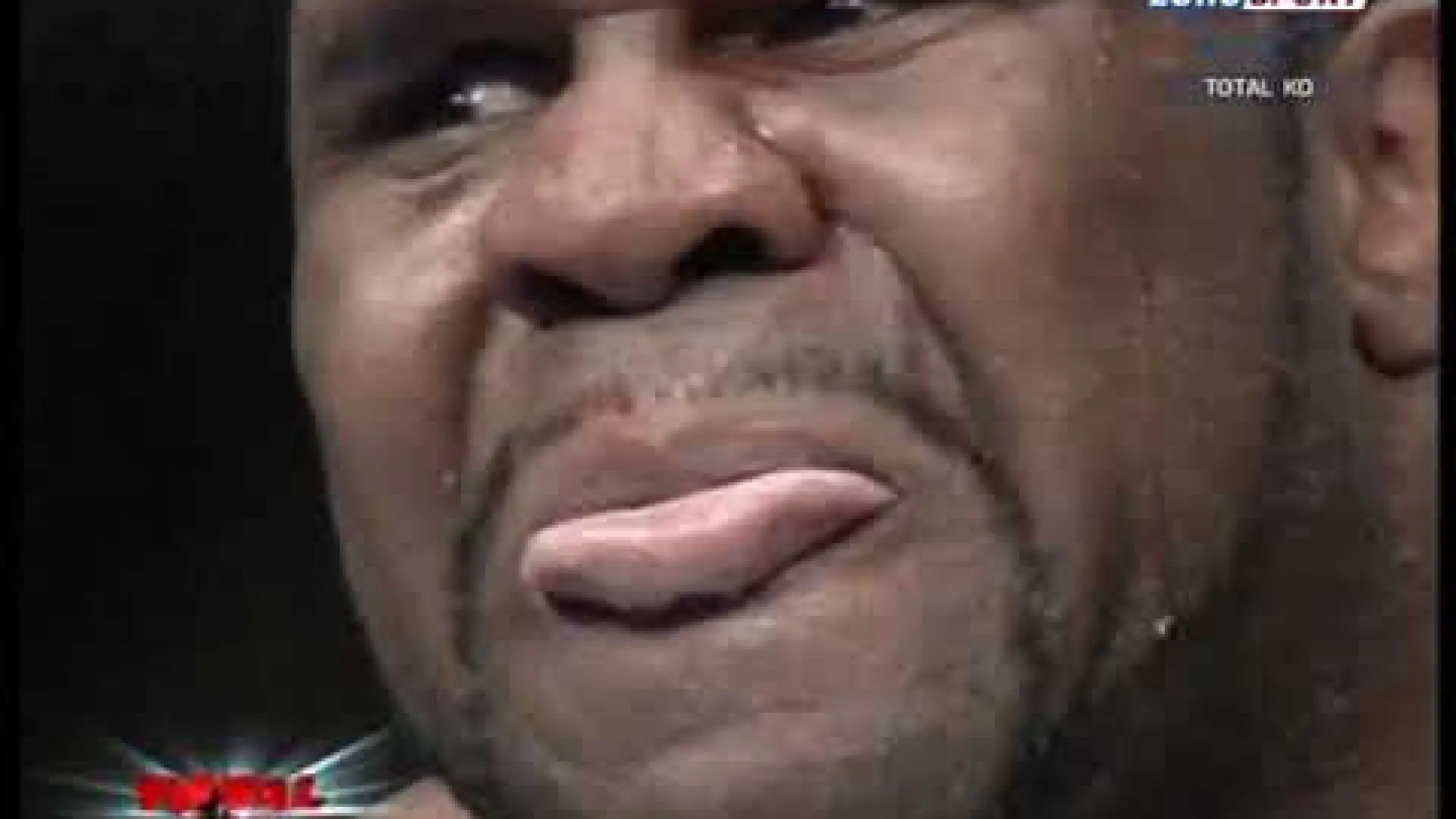 Bob Sapp vs Ray Sefo (Fight Video)