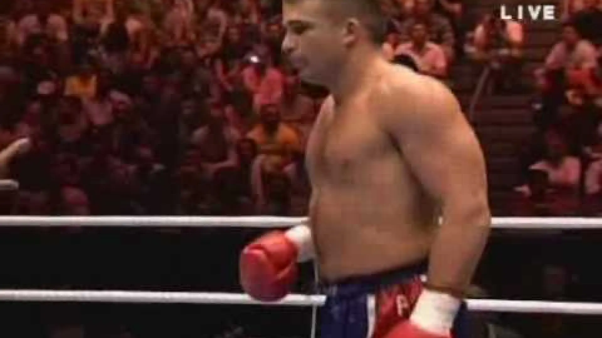 Bob Sapp vs Peter Aerts (Fight Video)