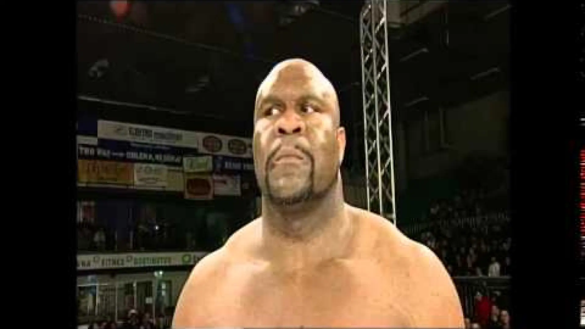 Bob Sapp vs Rok Struci (Fight Video)