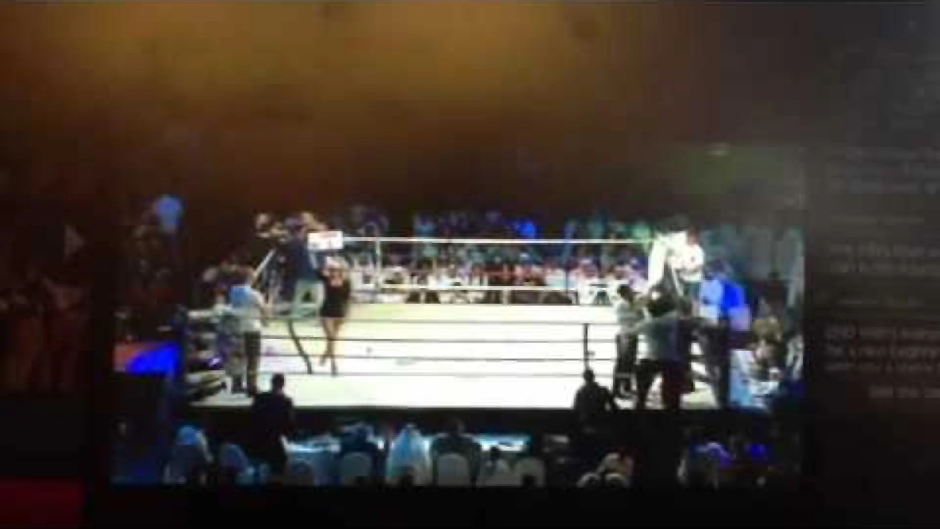 Bob Sapp vs Tofan Pirani (Fight Video)