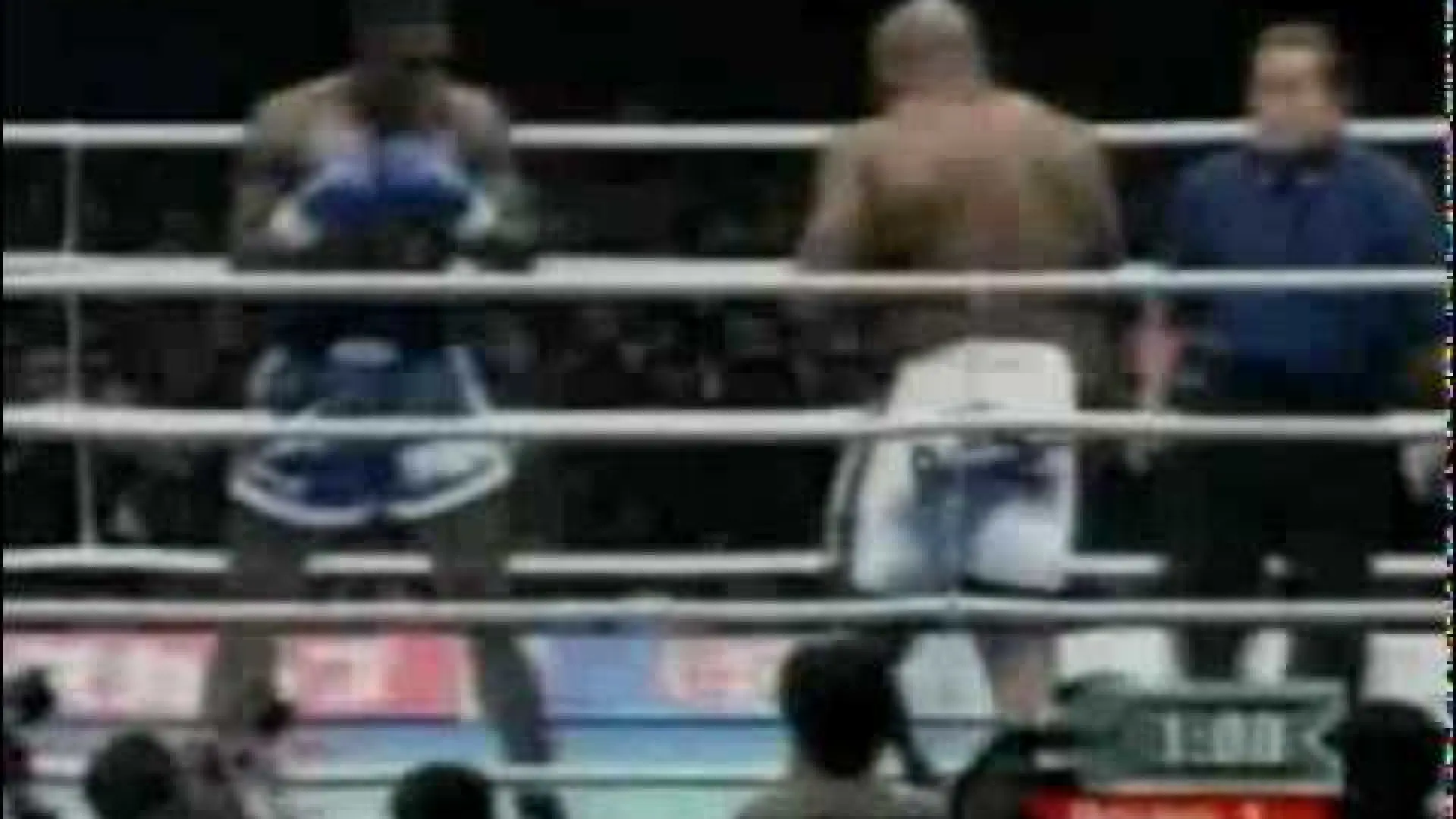 Bob Sapp vs Remy Bonjasky (Fight Video)