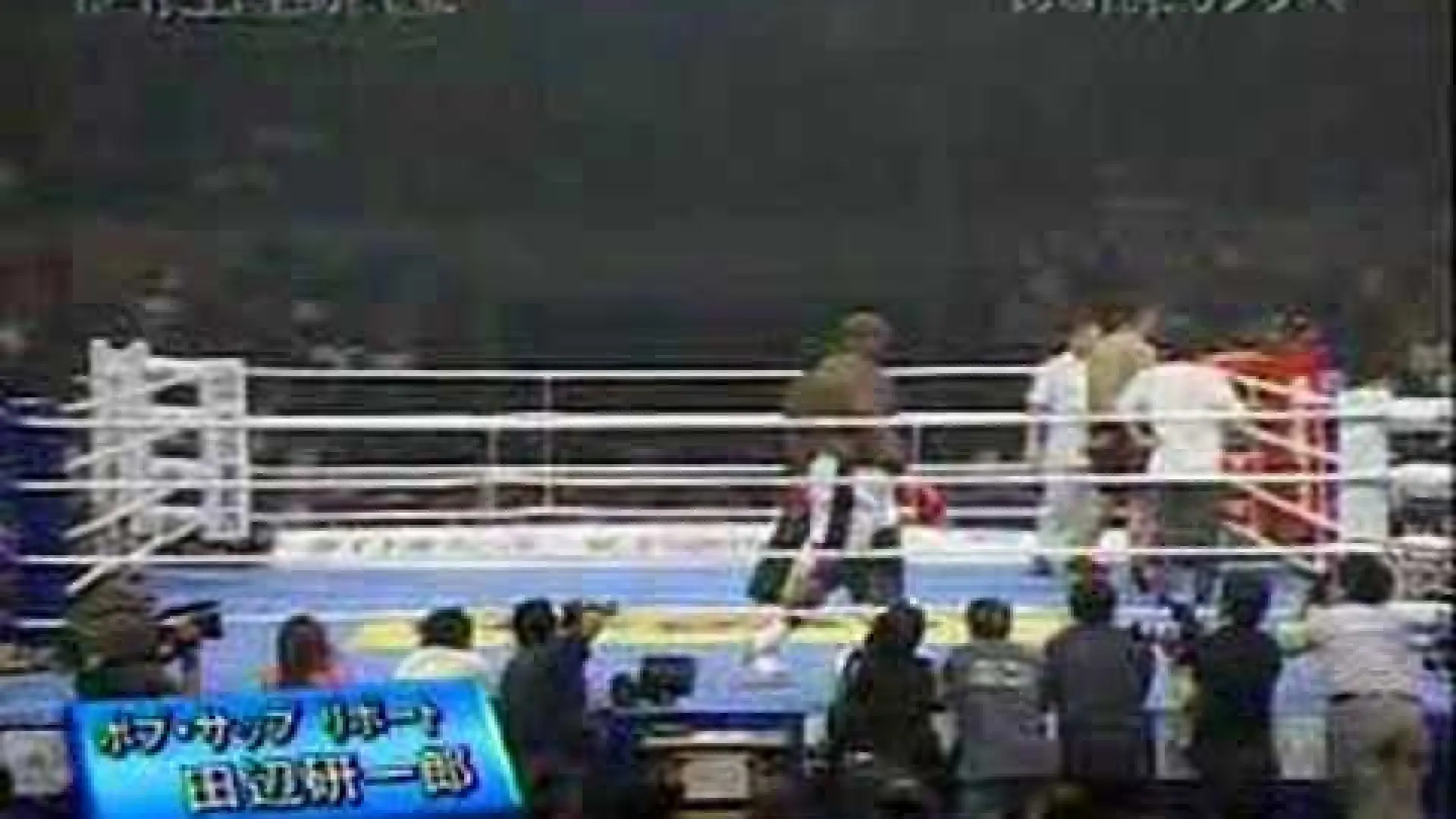 Bob Sapp vs Tsuyoshi Nakasako (Fight Video)