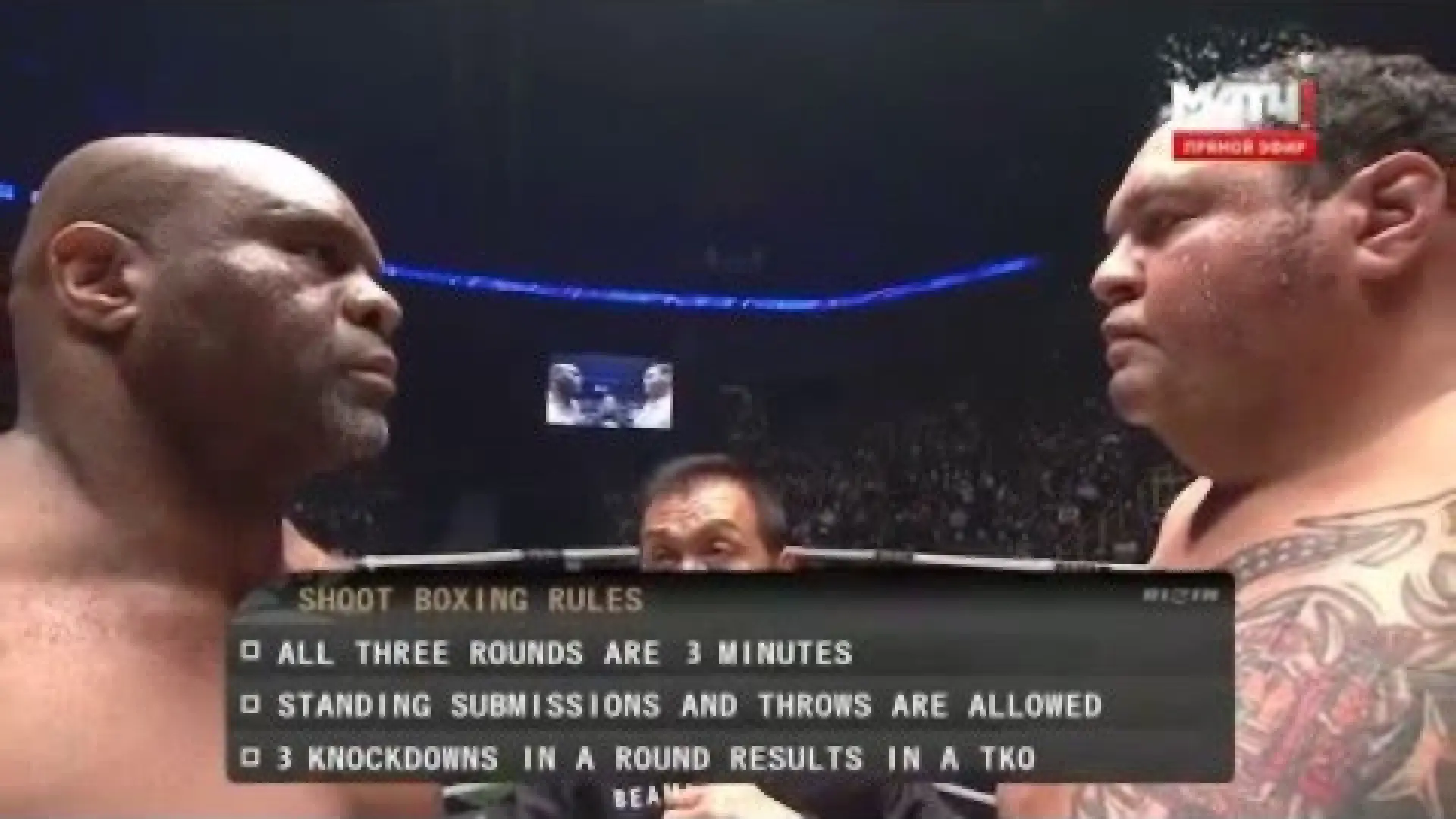 Bob Sapp vs Akebono Taro (Fight Video)