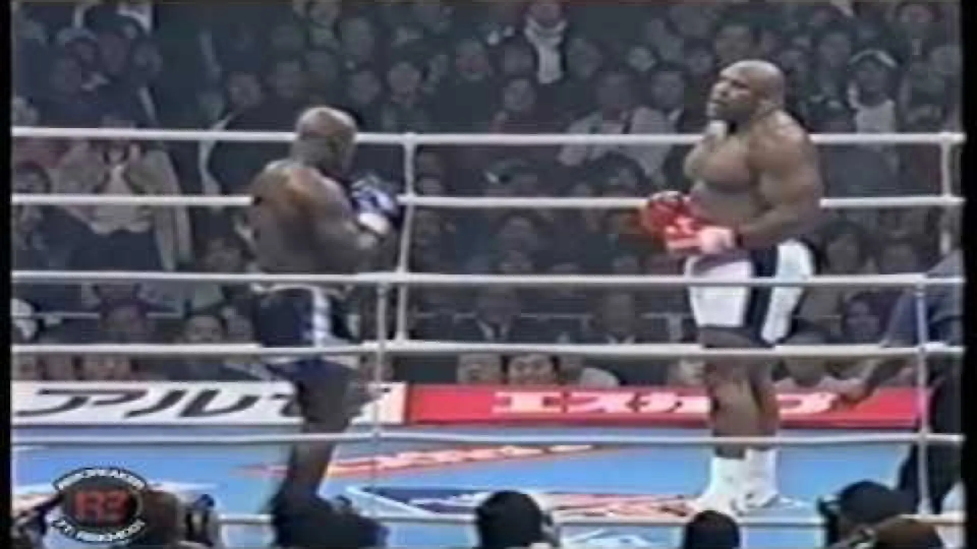 Bob Sapp vs Ernesto Hoost (Fight Video)