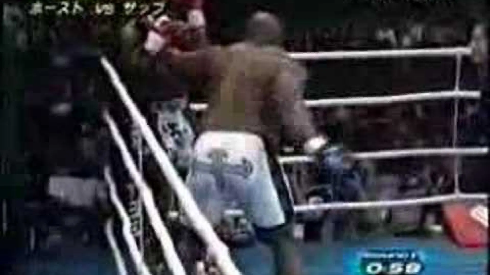 Bob Sapp vs Ernesto Hoost (Fight Video)