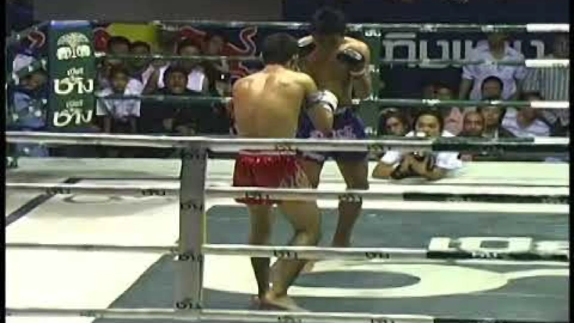 Anuwat Kaewsamrit vs Puja Sor Suwanee (Fight Video)