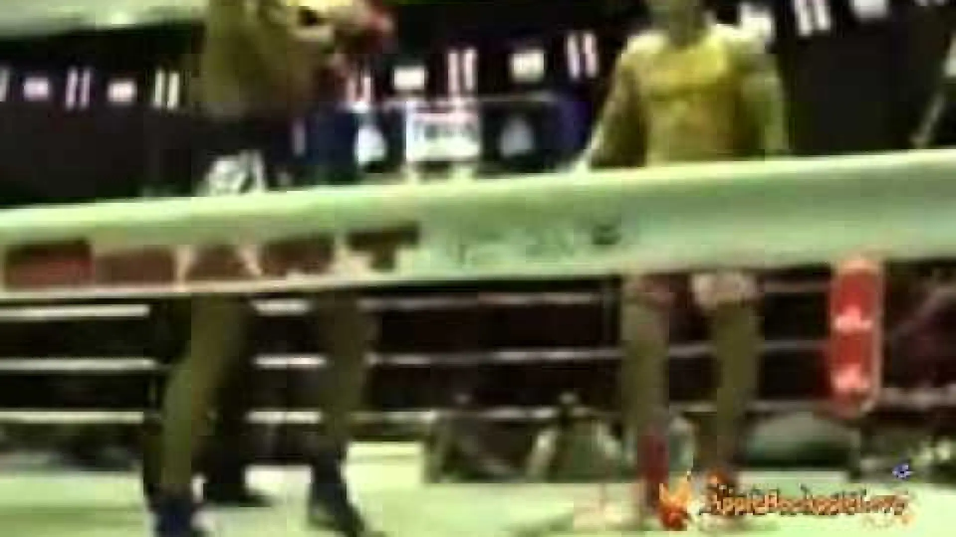 Saiyok Pumpanmuang vs Farid Villaume (Fight Video)