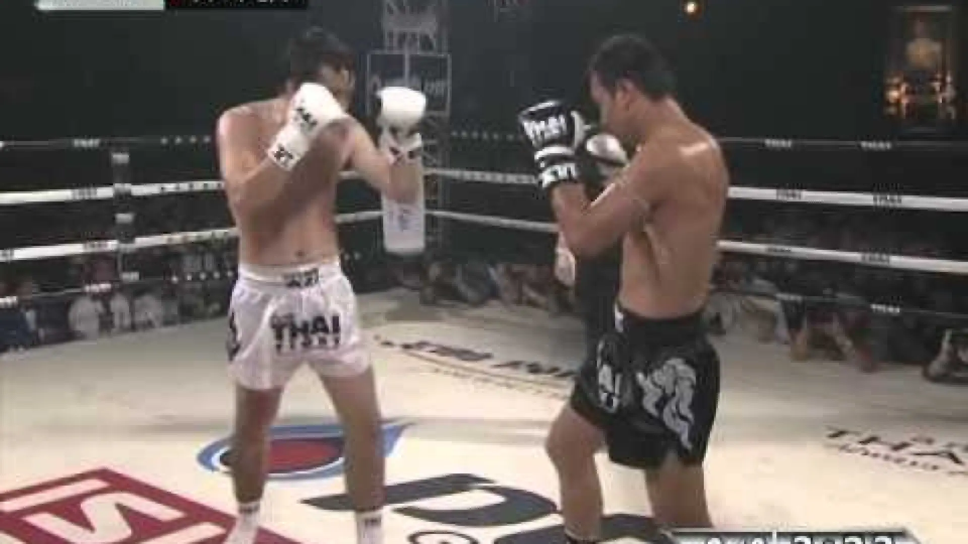 Saiyok Pumpanmuang vs Koh Suman (Fight Video)