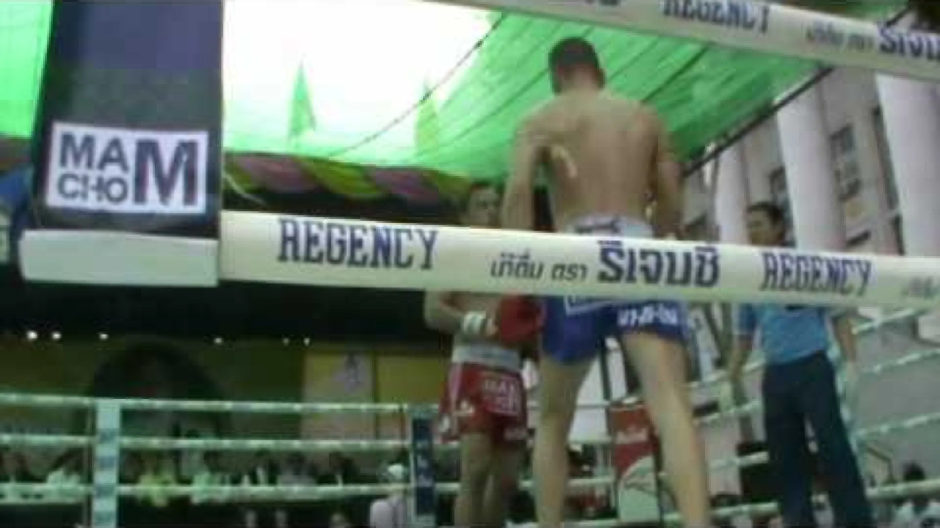 Saiyok Pumpanmuang vs Cédric Muller (Fight Video)