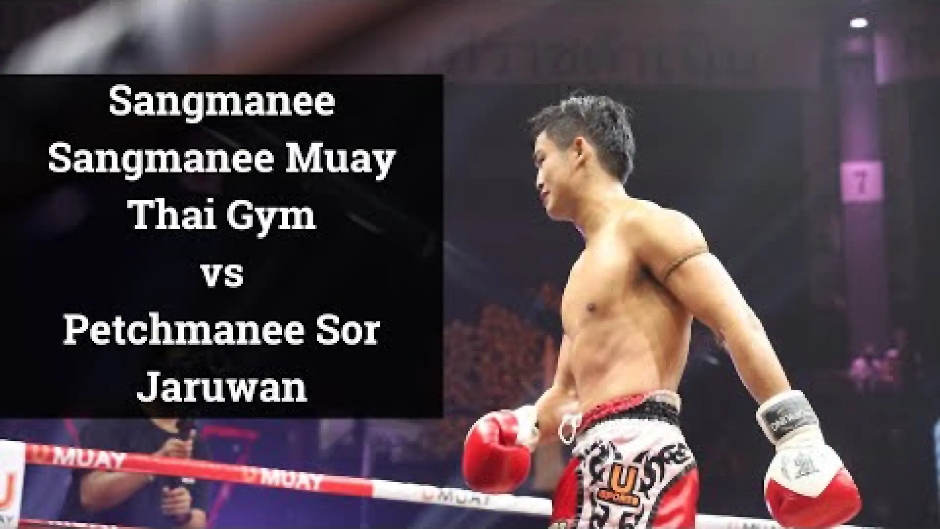 Sangmanee Sor Tienpo vs Petchmanee Por Lakboon (Fight Video)