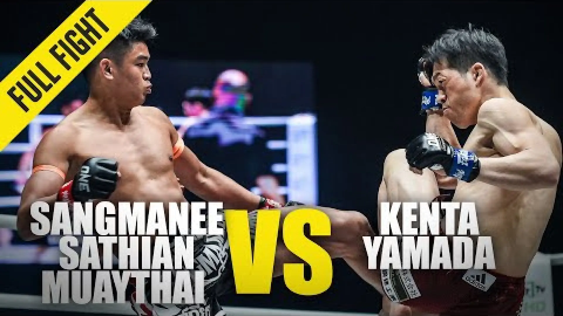 Sangmanee Sor Tienpo vs Kenta Yamada (Fight Video)