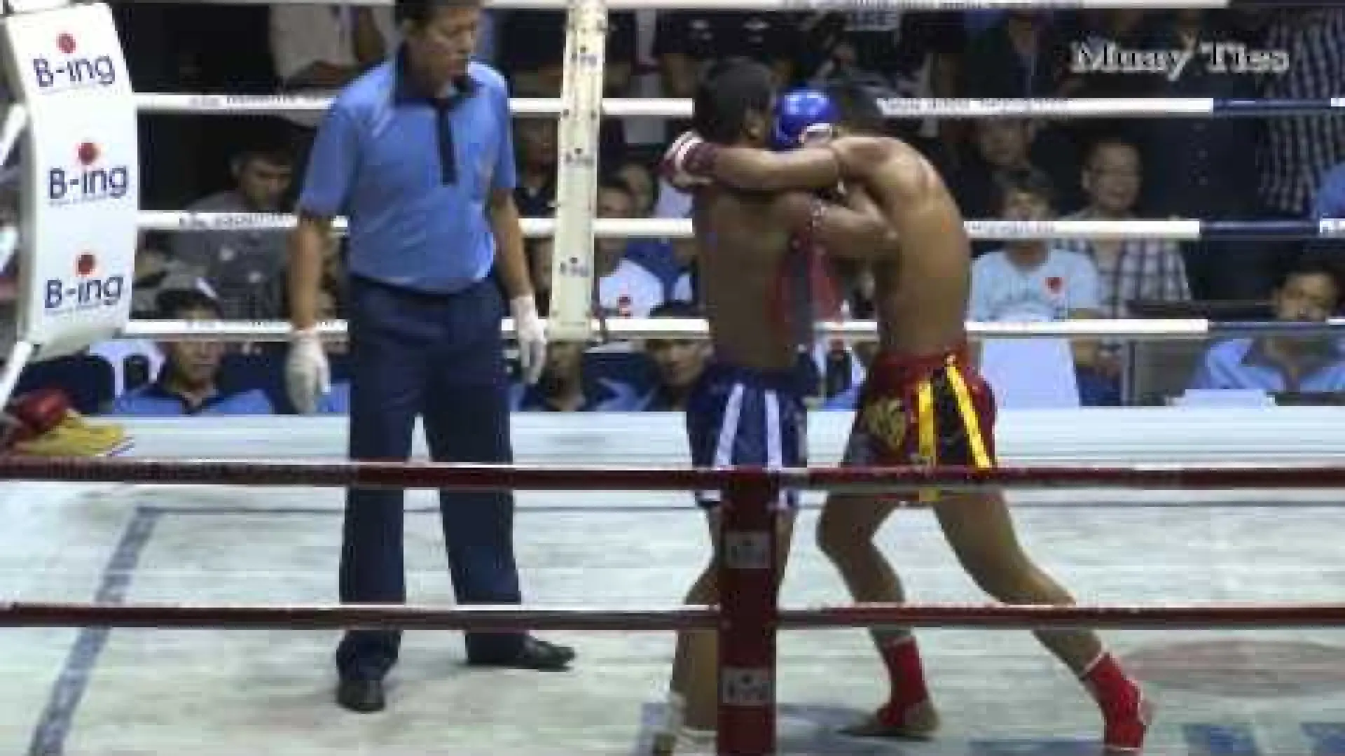 Sangmanee Sor Tienpo vs Lamnamoonlek Tded99 (Fight Video)