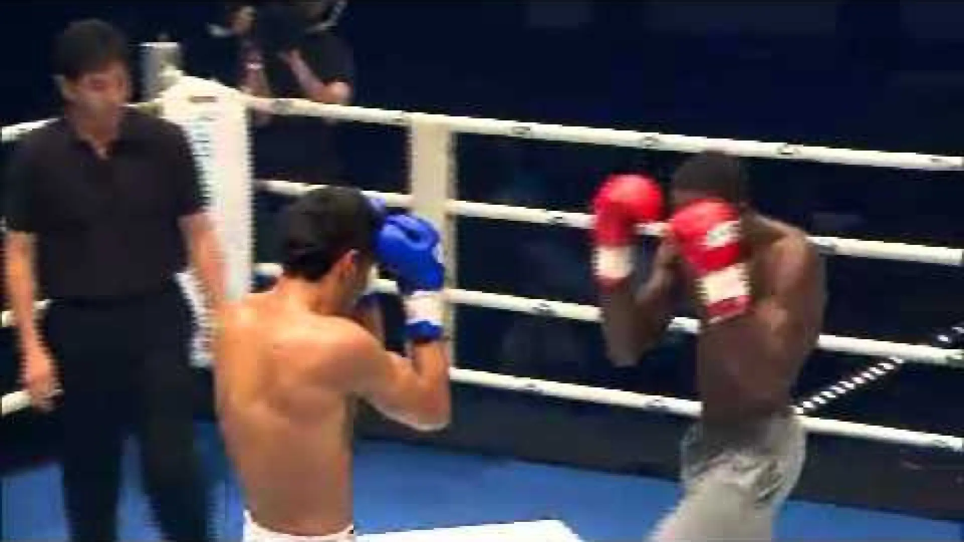 Harut Grigorian vs Murthel Groenhart (Fight Video)