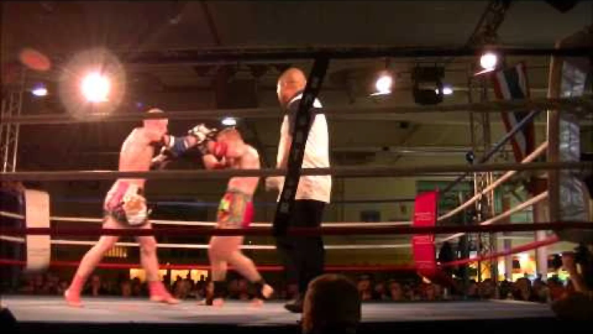 Tobias Alexandersson vs Damien Ozenne (Fight Video)