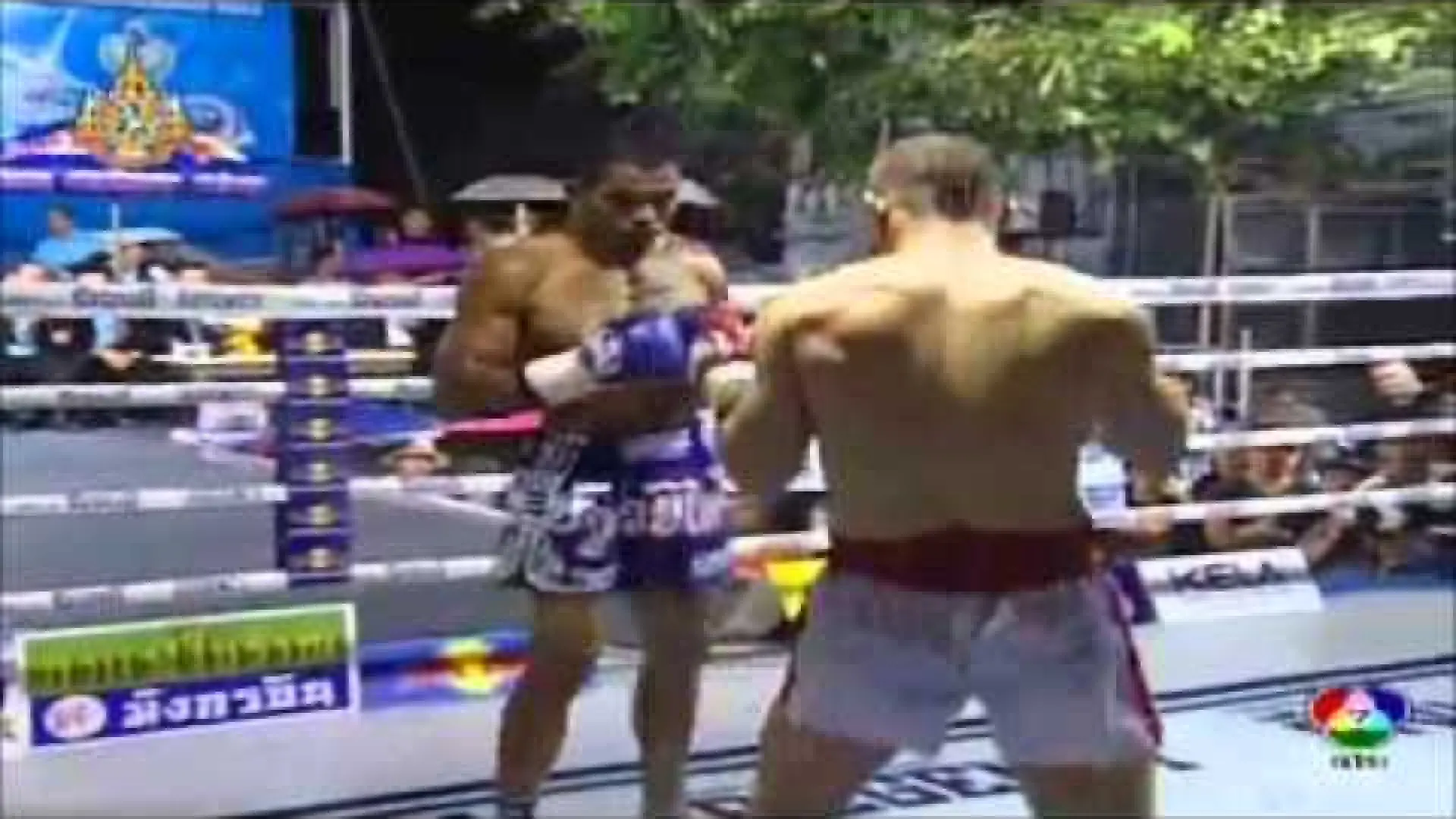 Tobias Alexandersson vs Laurent Tevanee (Fight Video)