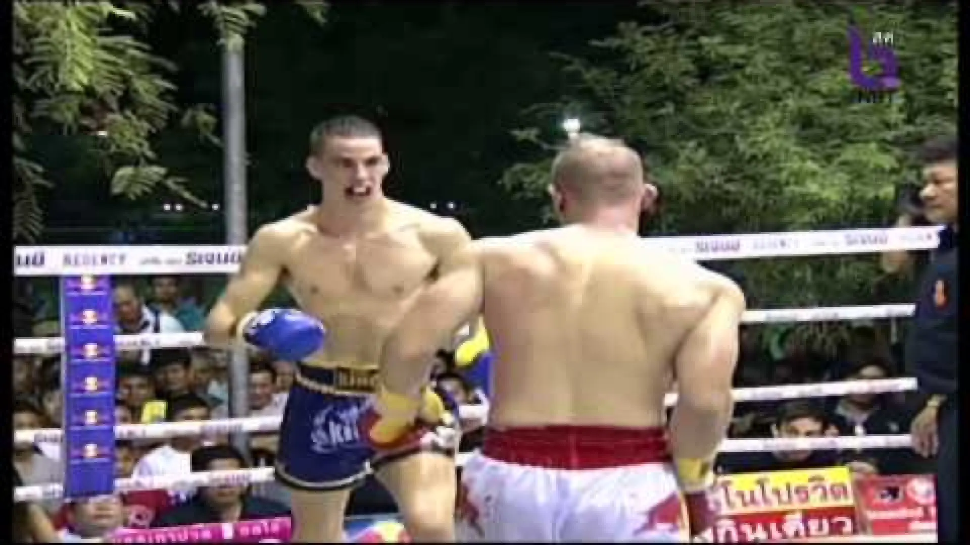 Tobias Alexandersson vs Adrien Rubis (Fight Video)