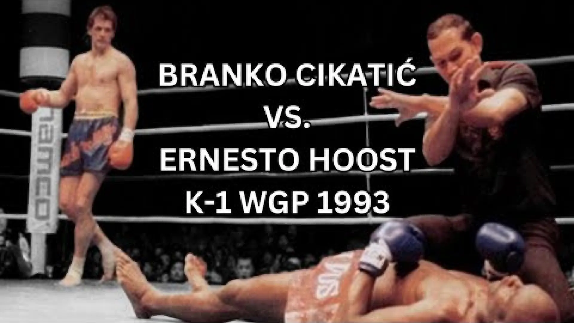Ernesto Hoost vs Branko Cikatic (Fight Video)