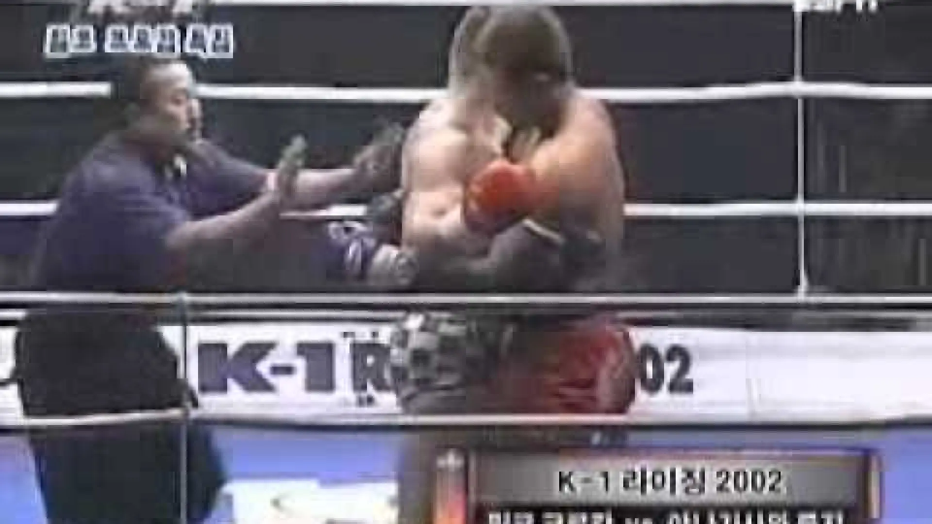 Mirko Cro Cop vs Ryushi Yanagisawa (Fight Video)