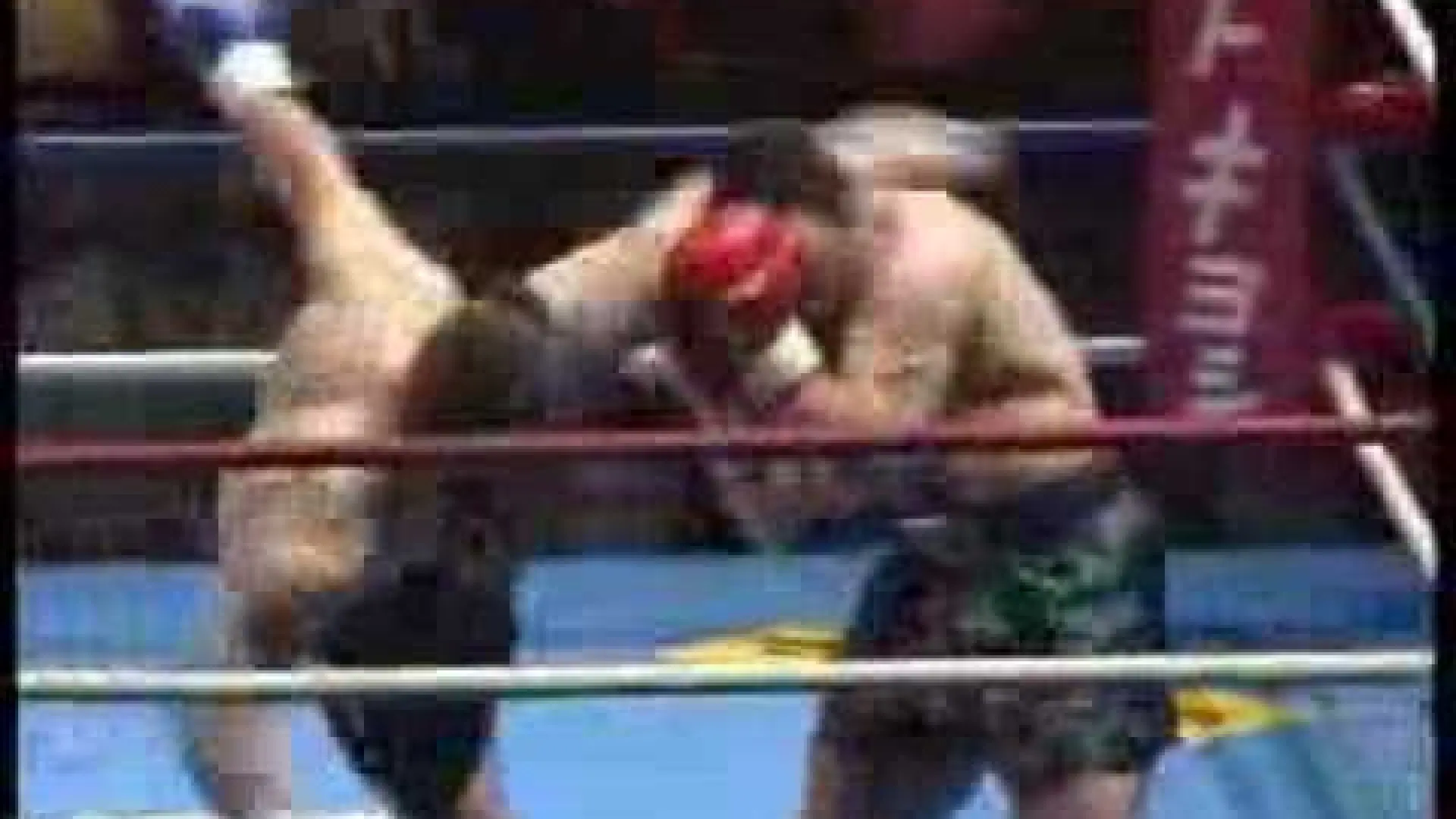 Mirko Cro Cop vs Ricky Nickolson (Fight Video)