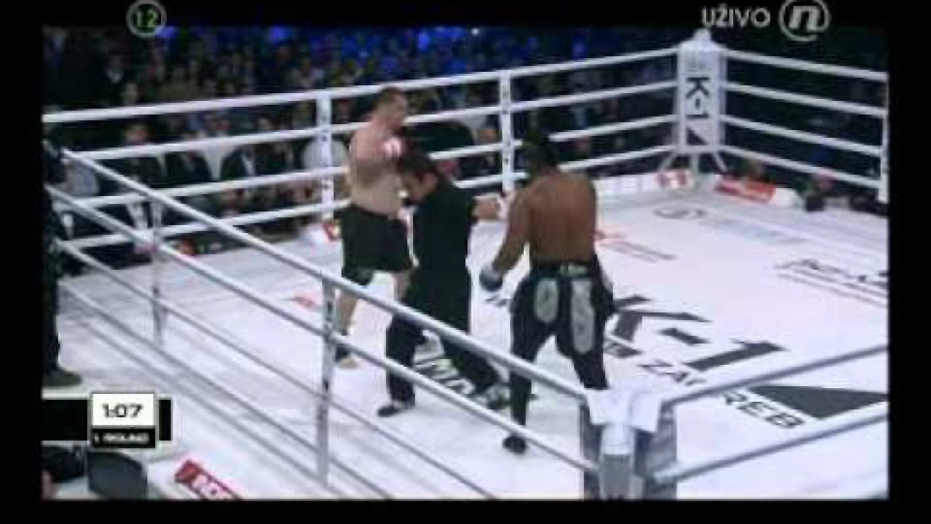Mirko Cro Cop vs Jarrell Miller (Fight Video)