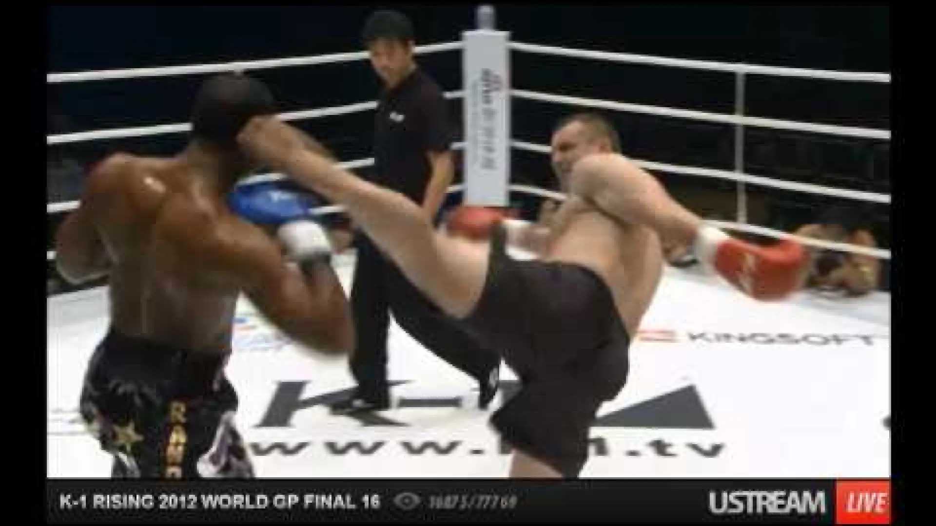 Mirko Cro Cop vs Randy Blake (Fight Video)