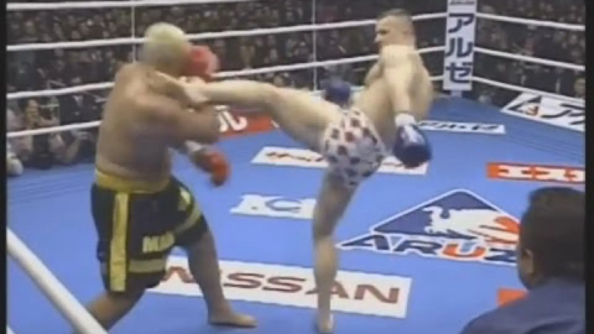 Mirko Cro Cop vs Mark Hunt (Fight Video)